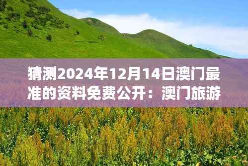 猜测2024年12月14日澳门最准的资料免费公开:澳门旅游胜地的新面貌