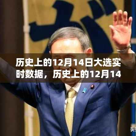 深度解析,历史上的12月14日大选实时数据与幕后解析