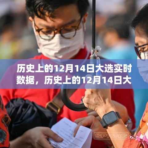 深度解析,历史上的12月14日大选实时数据与幕后解析
