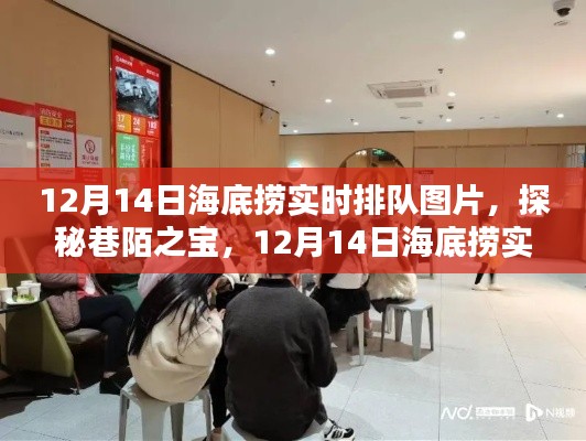 探秘巷陌之宝,海底捞实时排队盛况揭秘(12月14日)