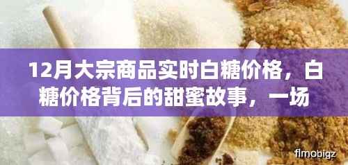 白糖价格背后的故事,友情与陪伴的甜蜜旅程,实时大宗商品白糖价格解析