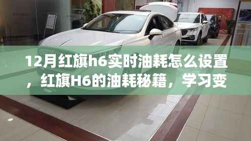 红旗H6实时油耗设置详解，驾驭未来的智慧，油耗秘籍与自信闪耀之旅