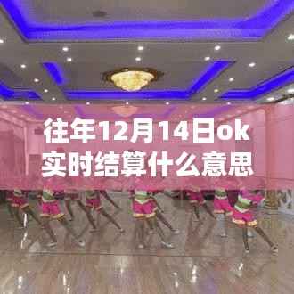揭秘12月14日OK实时结算,与大自然共舞的日子背后的金融奥秘