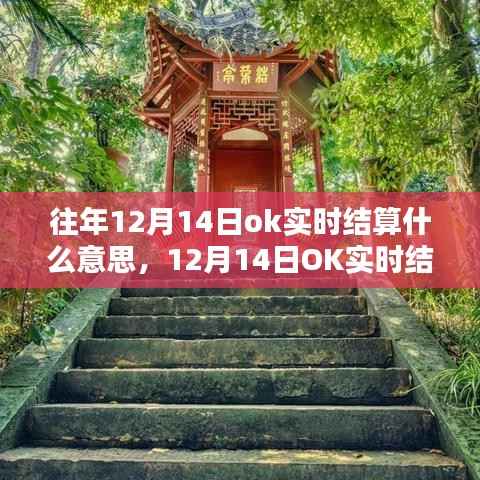 揭秘12月14日OK实时结算,与大自然共舞的日子背后的金融奥秘