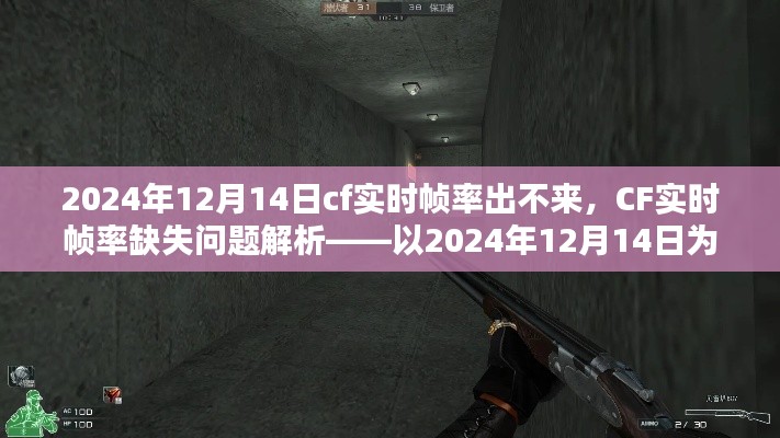 CF实时帧率缺失问题解析,以2024年12月14日为时间点的解决方案