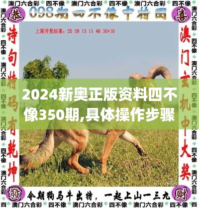2024新奥正版资料四不像350期,具体操作步骤指导_U2.917