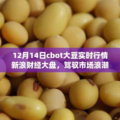 12月14日CBOT大豆实时行情下的励志航程，学习变化成就自信与辉煌