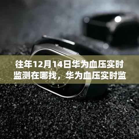 华为血压实时监测功能使用指南,回顾往年12月14日功能并寻找实时监测位置
