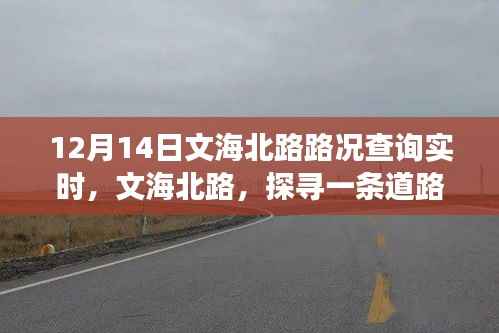文海北路实时路况变迁,繁忙都市中的探寻之路
