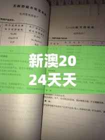 新澳2024天天正版资料大全351期:年度最具深度的资料汇编