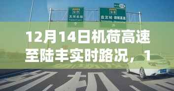 12月14日机荷高速至陆丰实时路况详解,行车指南与路况解析