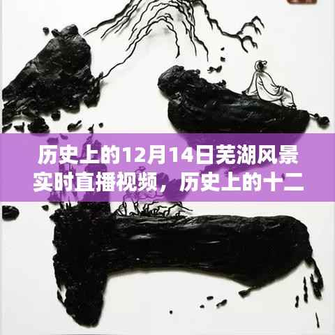历史上的十二月十四日芜湖风景实时直播回顾与观看全攻略