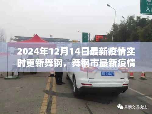 舞钢市最新疫情动态分析报告,聚焦实时更新与观点阐述(2024年12月14日)
