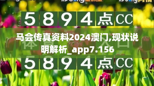 马会传真资料2024澳门,现状说明解析_app7.156