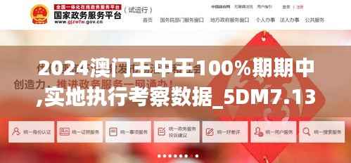 2024澳门王中王100%期期中,实地执行考察数据_5DM7.136