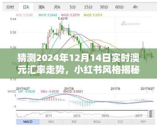 小红书揭秘,预测未来澳元汇率走势,解读2024年12月14日澳元汇率动态及走势分析