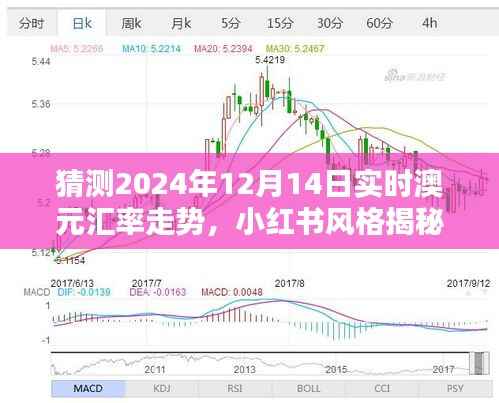 小红书揭秘,预测未来澳元汇率走势,解读2024年12月14日澳元汇率动态及走势分析