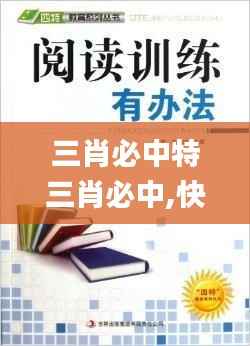三肖必中特三肖必中,快速设计问题策略_uShop8.349