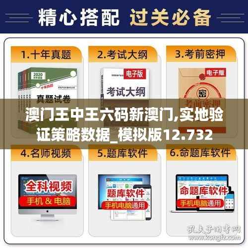 澳门王中王六码新澳门,实地验证策略数据_模拟版12.732