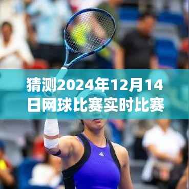 梦幻网球日,揭秘2024年网球比赛实时规则图,一场比赛铸就永恒回忆