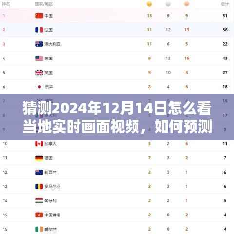 如何预测并观看2024年12月14日当地实时画面视频,初学者与进阶用户指南