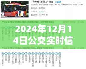 深度洞察,如何查看与解读2024年12月14日公交实时信息