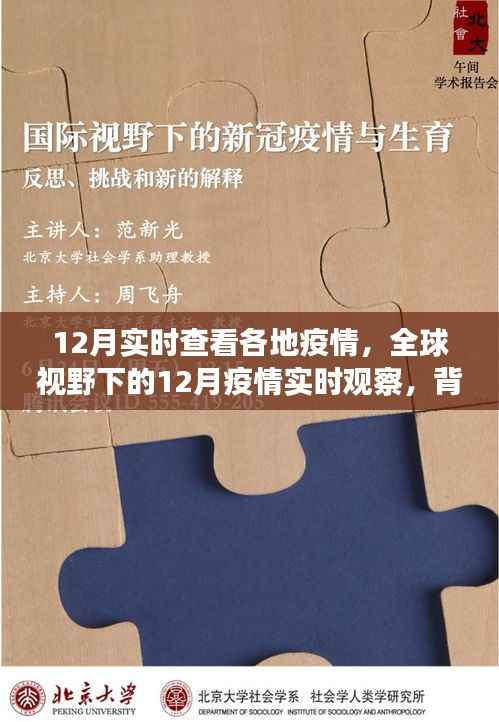 全球疫情实时观察,背景、进展与影响——聚焦12月疫情动态