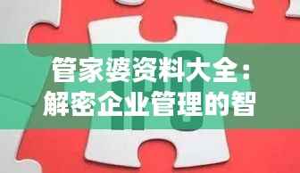 管家婆资料大全:解密企业管理的智慧与精髓