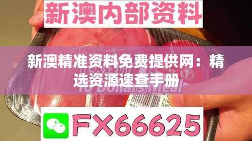 新澳精准资料免费提供网:精选资源速查手册