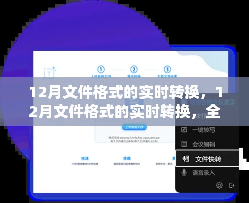 全面评测与介绍,12月文件格式的实时转换指南