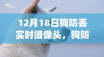 励志狗狗守护之旅,狗防丢实时摄像头与学习成长之路