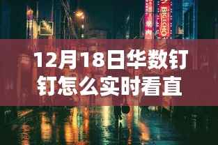 探秘小巷深处的直播盛宴,华数钉钉带你实时领略特色小店魔法直播之旅