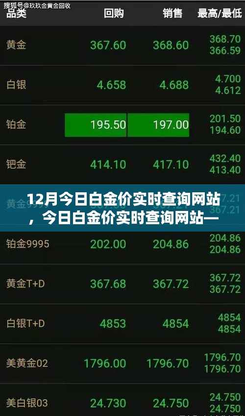 掌握白金价格动态,今日白金价实时查询网站