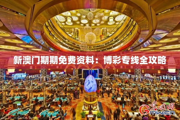 新澳门期期免费资料:博彩专线全攻略