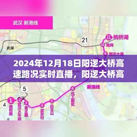 阳逻大桥高速实时路况直播报道,2024年12月18日路况详解