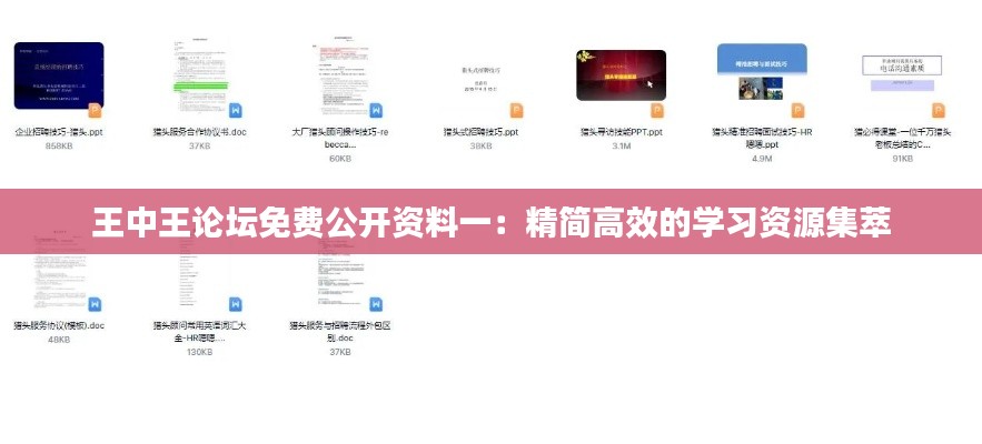王中王论坛免费公开资料一:精简高效的学习资源集萃