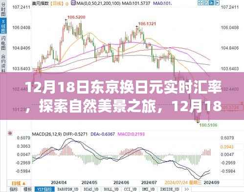 探索自然美景之旅,东京换日元实时汇率与心灵平静之旅