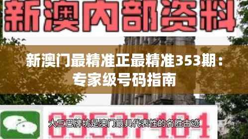 新澳门最精准正最精准353期:专家级号码指南
