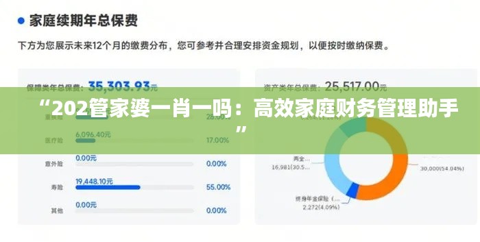 “202管家婆一肖一吗：高效家庭财务管理助手”