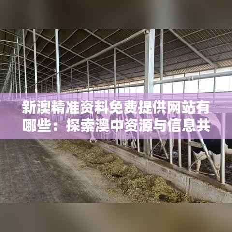 新澳精准资料免费提供网站有哪些:探索澳中资源与信息共享的优质平台