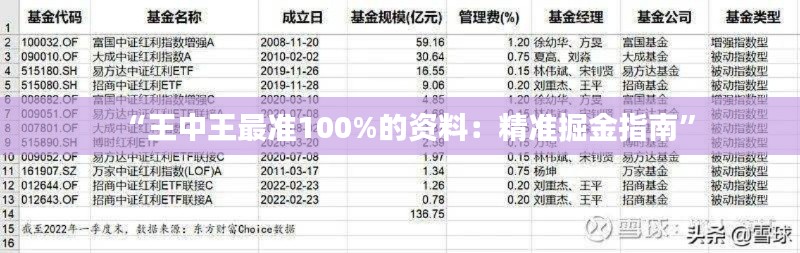 “王中王最准100%的资料:精准掘金指南”