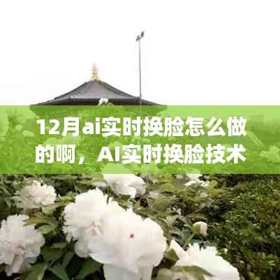 AI实时换脸技术解析,深度思考观点阐述与操作指南