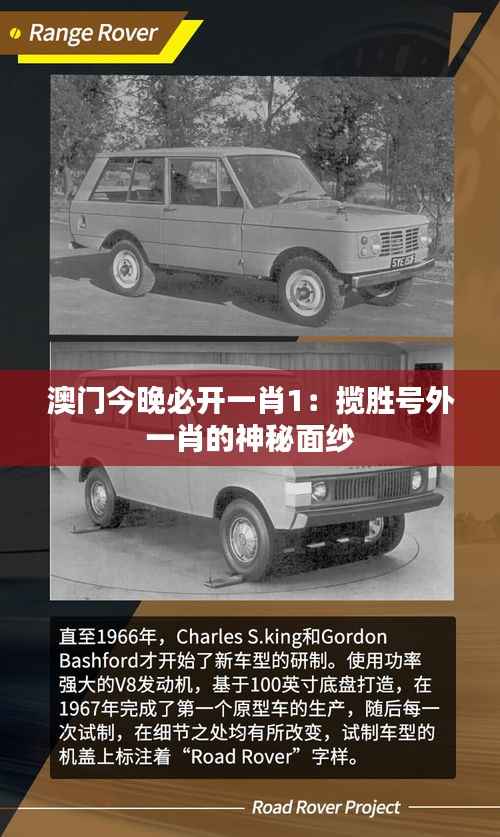 澳门今晚必开一肖1:揽胜号外一肖的神秘面纱