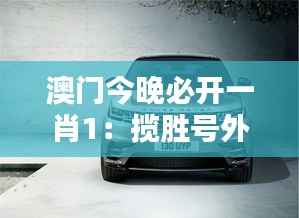 澳门今晚必开一肖1:揽胜号外一肖的神秘面纱