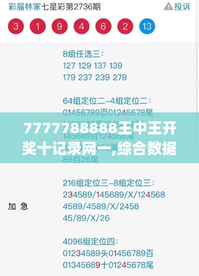 7777788888王中王开奖十记录网一,综合数据解析说明_专业款2.418