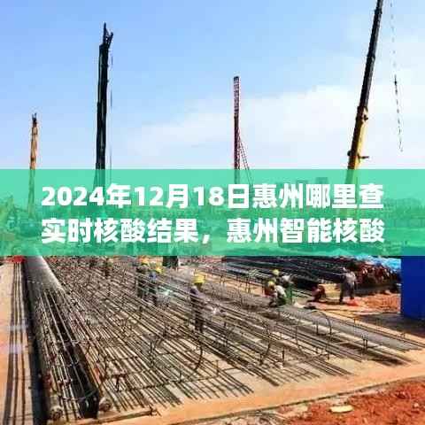 惠州智能核酸查询系统,科技引领未来,实时追踪健康轨迹(实时核酸结果查询指南)