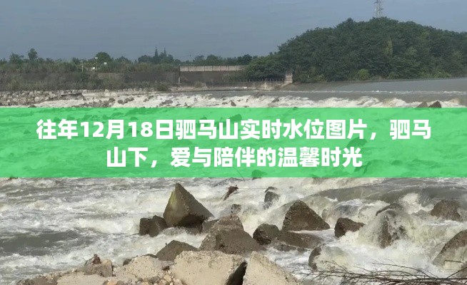 驷马山实时水位下的爱与陪伴时光