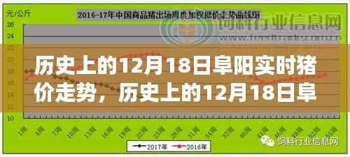 历史上的阜阳实时猪价走势回顾,探寻背后的故事与影响在12月18日这一天的影响及走势分析