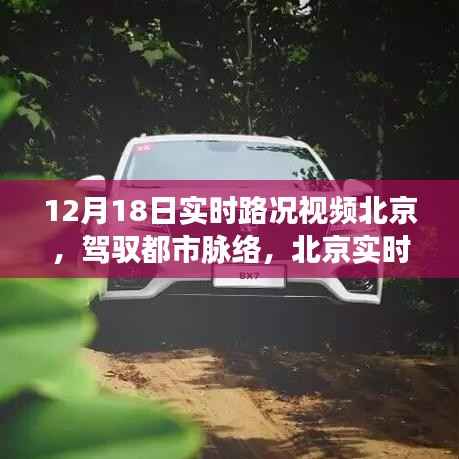 紫色蛙声 第4页