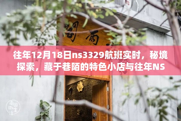 往年NS3329航班秘境探索,巷陌特色小店与奇遇之旅